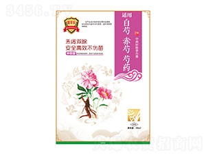 ֳˎˎĳݷ-S(l)-瘷(l)r(nng)I(y)