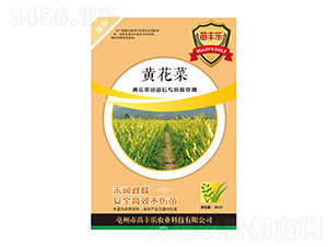 S(zhun)ó݄-S(l)-瘷(l)r(nng)I(y)