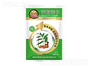 S/ٺϿˎČ(zhun)ó݄-