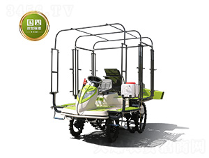 2ZPY-13AC(j)-(lin)r(nng)I(y)