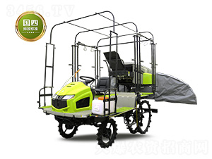 2ZPY-13DC(j)-(lin)r(nng)I(y)