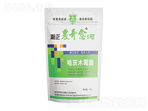 ľù-r(nng)5̖(ho)-r(nng)