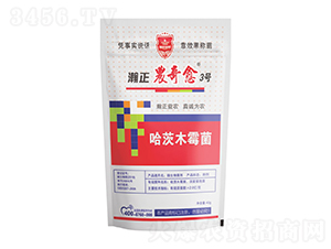 ľù-r(nng)3̖(ho)-r(nng)