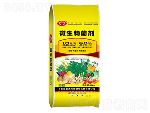 1|΢(ni)Sػ|(zh)T(mn)ᣩ--̫(yng)