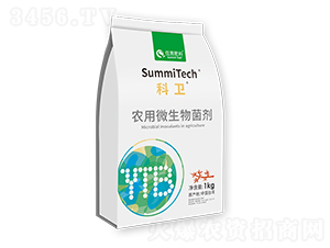 r(nng)΢wľùһ̖(ho)-l(wi)-ס̷