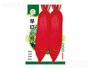 }N-tһ̖(ho)-̫(l)NI(y)