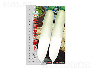 }N-L(zhng)}-̫(l)NI(y)