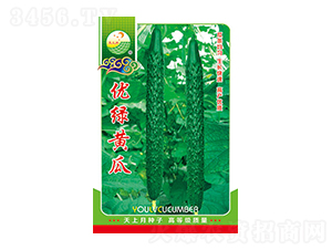 SϷN-(yu)GS-̫(l)NI(y)