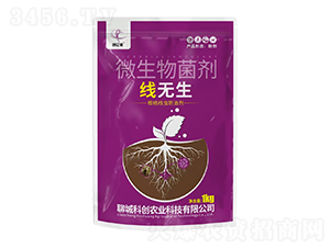 (xin)o(w)΢-(chung)|z-ĳǿƄ(chung)