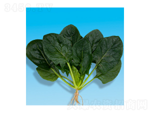 ˷N-孲4̖(ho)-A孷NI(y)