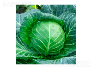 {(ln)N-學312-A孷NI(y)