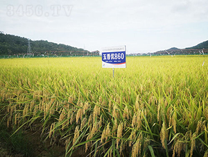 マ(yu)860-ˮN-𽡷NI(y)