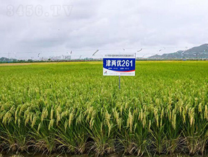 Ƀ(yu)261-ˮN-𽡷NI(y)