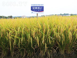 Ƀ(yu)Q7-ˮN-𽡷NI(y)