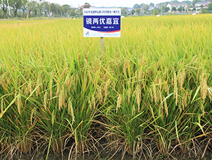 RɃ(yu)-ˮN-𽡷NI(y)