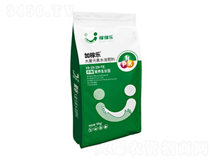 ƽIB(yng)LʹԪˮܷ19-19-19+TE-Ӽژ-ڼژ