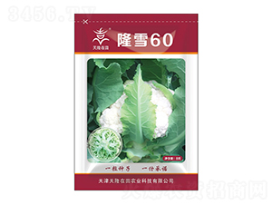 ¡ѩ60-¡-¡r(nng)I(y)