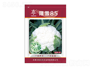 ¡ѩ85-¡-¡r(nng)I(y)