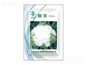 S75F1-¡-¡r(nng)I(y)