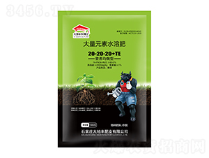 IB(yng)ʹԪˮܷ20-20-20+TE-S