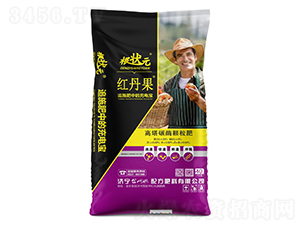 t20%̼øw-Ԫ-W(wng)(lin)