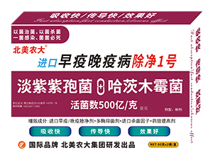 M(jn)߳1̖(ho)-r(nng)