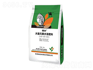 Ԫˮܷ17-17-17-Ta(b)-GѸr(nng)ûW(xu)