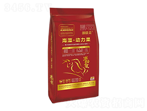 塤(dng)wˮܷ -ܱ-}H