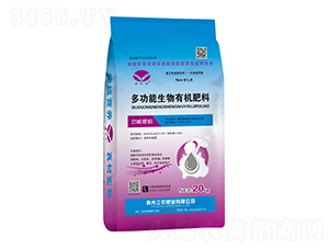 ๦ЙC(j)-r(nng)ʘI(y)