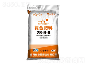 ͺϷ28-6-6--зʷʘI(y)