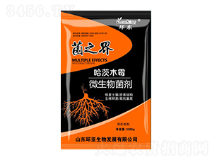 ľù΢-֮-h(hun)|-еr(nng)